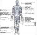 Pialba Remedial Massage image 1