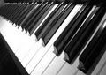 Piano Teacher image 2