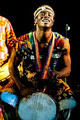 Rhythm of Life African Drumming Classes logo