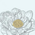 Sassafras Flower Design image 3