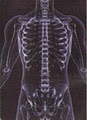 Stephen Thwaites Osteopath Chiropractor image 2