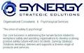 Synergy Safety Solutions logo