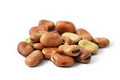 The Nut Roaster image 6