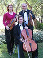 The Offenbach Strings image 1