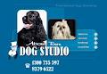 About Town Dog Studio logo