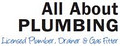 All About Plumbing logo