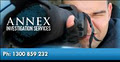 Annex Investigation Services logo