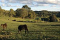 Appleyard Farm image 2