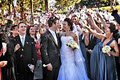 Australian Wedding & Professional Photography image 4