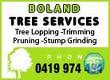 Boland Tree Services logo