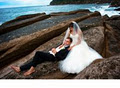 CandidPro Wedding Photographer and Video image 3