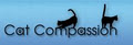 Cat Compassion image 5