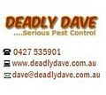 Deadly Dave -- Serious Pest Control image 2