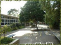 Dorset Primary School image 3