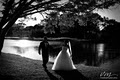 Gold Coast Wedding Photography - Van Middleton image 3