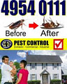 Hunter United Pest Control image 1