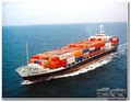 Import Export Fumigation Services logo