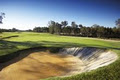 Kooindah Waters Golf Club image 3
