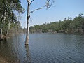 Lake Monduran Holiday Park image 3