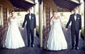 Matilda Beezley Photography | Toowoomba Wedding & Family Photographer image 3