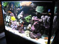 Mobile aquarium Care image 2