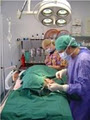 Parkinson Veterinary Surgery image 3