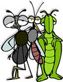 Pest control image 2