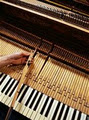 Quality Piano Tuning image 2