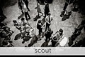Scout Photographics logo