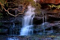Somersby Falls Picnic Grounds image 1