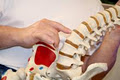Spine Associates Chiropractic Clinic Balmain image 4