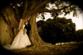 Xpose' Wedding Photography image 3