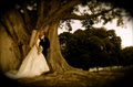Xpose' Wedding Photography logo