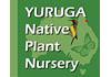 Yuruga Nursery image 6