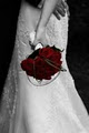 Ainslie Nicole Weddings & Social Events logo