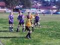 Coniston Junior Soccer Club image 4