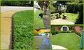 D&D"S DYNAMITE LAWN MOWING AND GARDENING SERVICES OF CRANBOURNE image 3