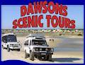 Dawson Scenic Tours logo