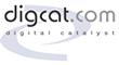 Digital Catalyst Group Pty Ltd image 3