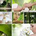 Essential Bodyworks/ Massage Therapist image 3