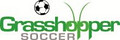 Grasshopper Soccer image 2
