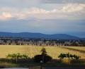 HOULAGHANS VALLEY WINES image 2