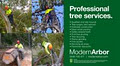 Modern Arbor Professional Tree Services image 1