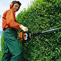 Northern Lawnmower & Chainsaw Specialists image 2