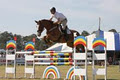 Somersby Equestrian Park image 3