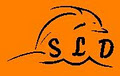 South Lake Dolphins Swimming Club Inc. logo