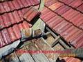 The Roofing Professionals - Westside image 5