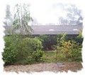 Waratah Lodge, Katoomba image 2