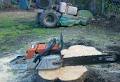 All Access Stump Grinding image 3