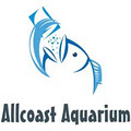 Allcoast Aquarium image 4